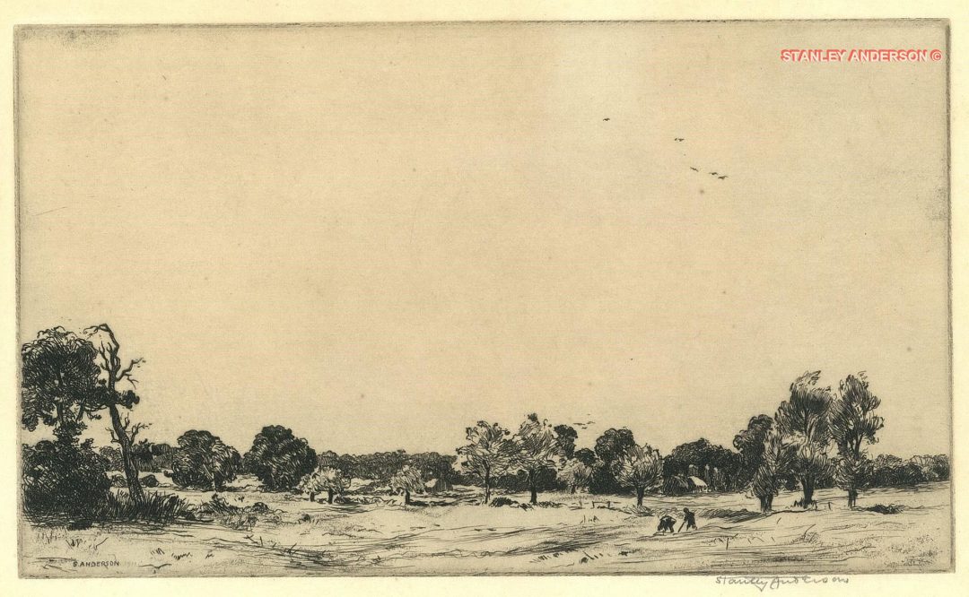 46 Perivale 1911