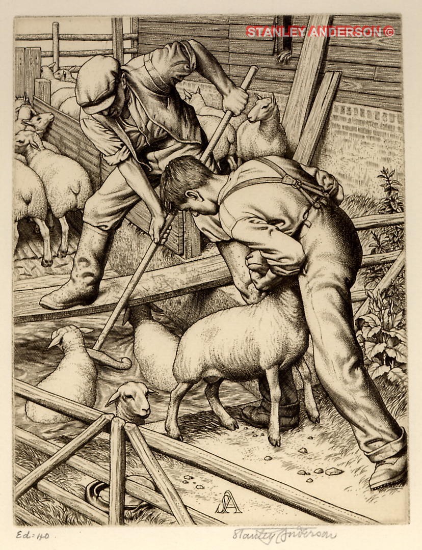 213 Sheep Dipping 1935