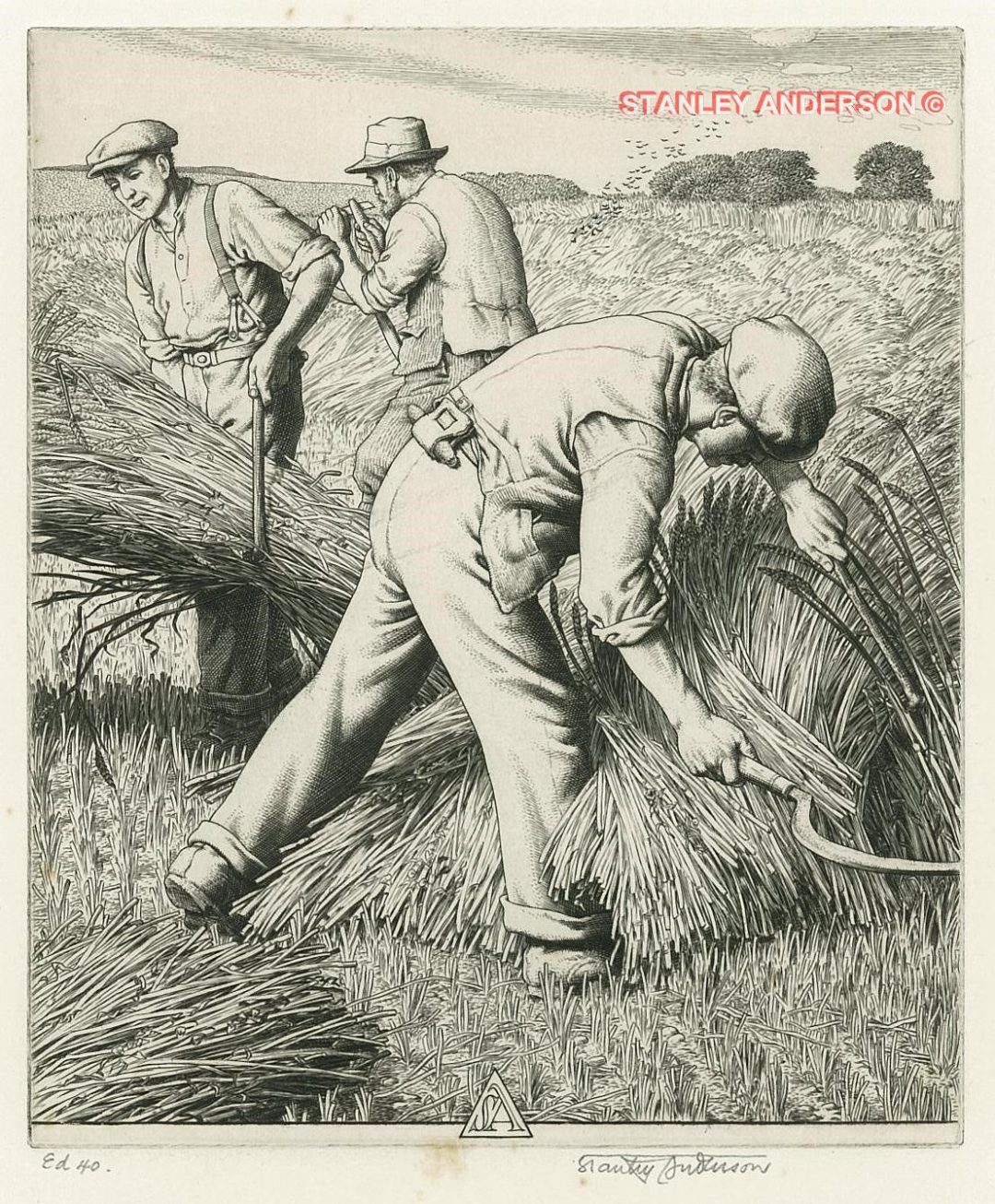 221 Windswept Corn 1938